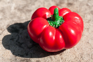 100 PIMENTO PEPPER (Red Sweet Pimientio / Italianelle / Cheese, Roasting, Frying Pepper) Capsicum Annuum Seeds